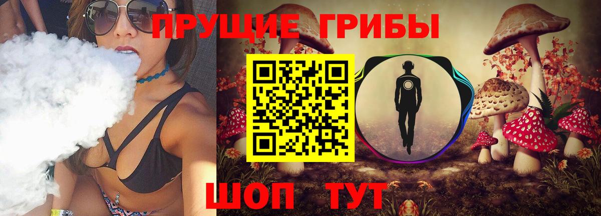 Скопин  Галлюциногенные грибы ЛСД  Вход с VPN 